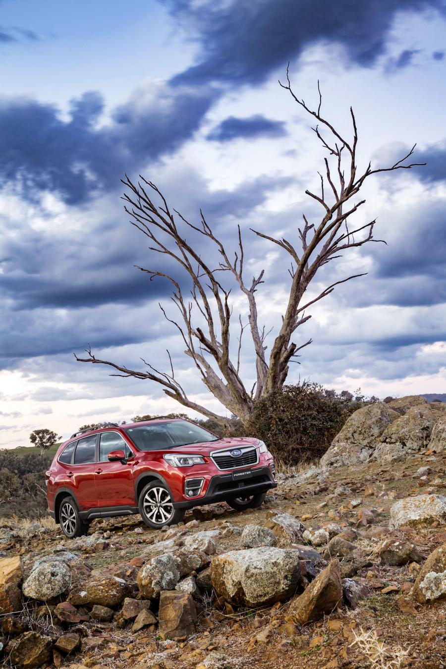  Subaru Forester 2.5i Premium 2018 года  (AU) (фото 3 из 8)